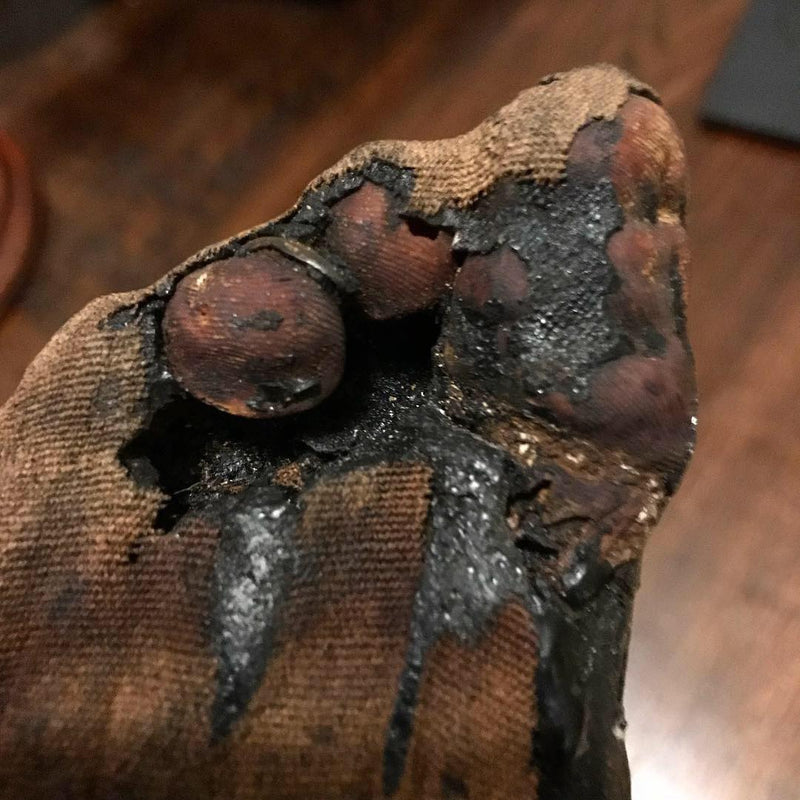 Ancient Egyptian Priest Mummy Hand & Foot