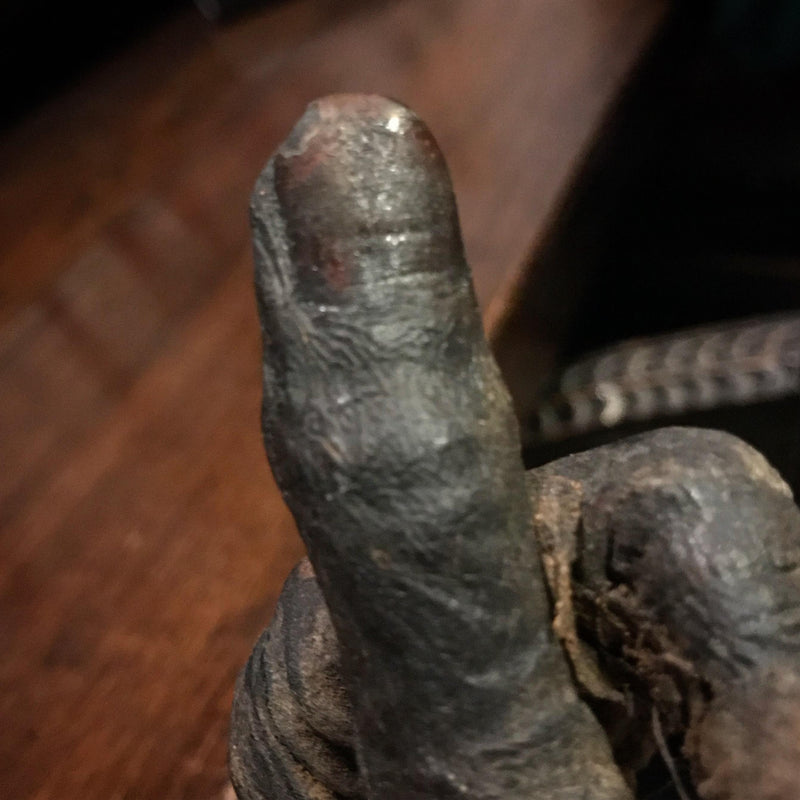 Ancient Egyptian Priest Mummy Hand & Foot