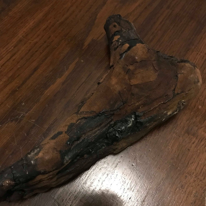 Ancient Egyptian Priest Mummy Hand & Foot