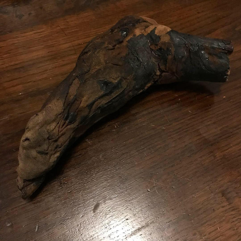Ancient Egyptian Priest Mummy Hand & Foot