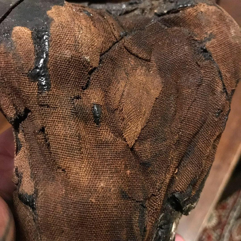 Ancient Egyptian Priest Mummy Hand & Foot