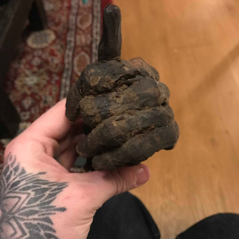 Ancient Egyptian Priest Mummy Hand & Foot