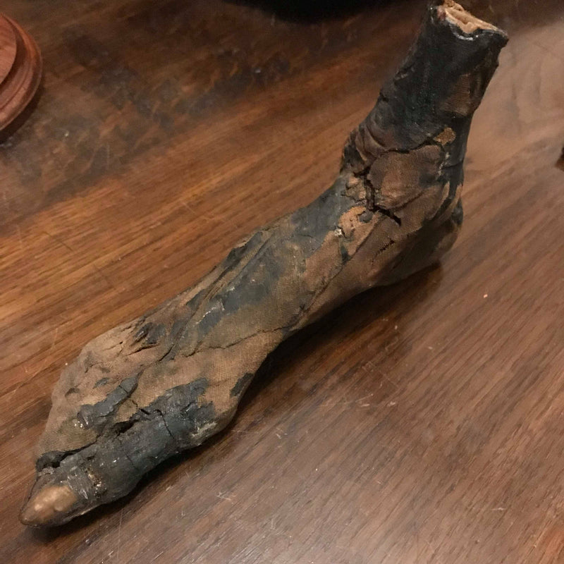Ancient Egyptian Priest Mummy Hand & Foot