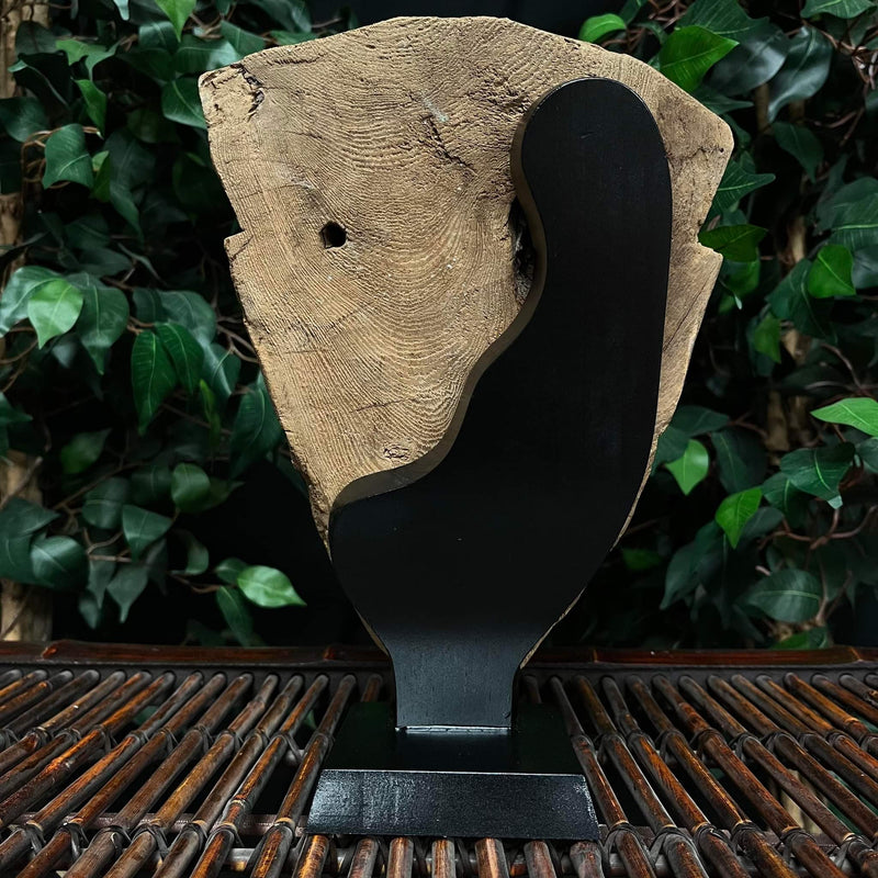 Ancient Egyptian Mummy Mask C