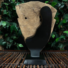 Ancient Egyptian Mummy Mask C