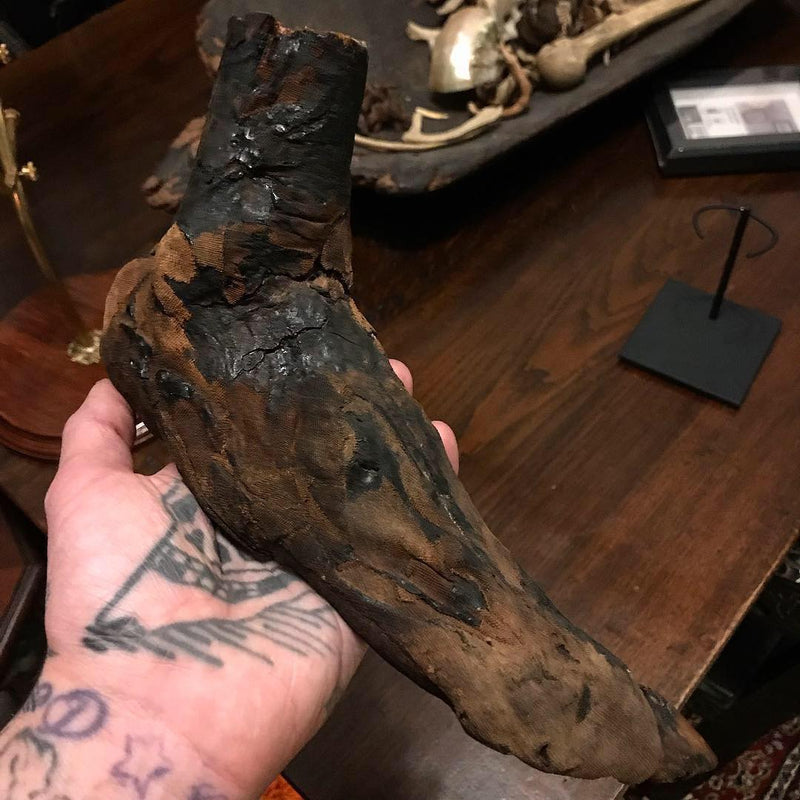 Ancient Egyptian Priest Mummy Hand & Foot