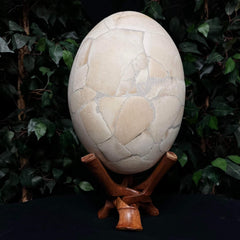 Extinct Elephant Bird Egg (SALE)